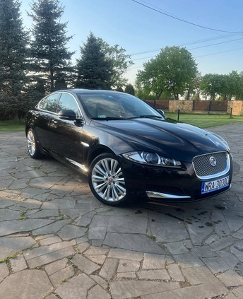 Jaguar XF cena 67900 przebieg: 130000, rok produkcji 2014 z Koronowo małe 211